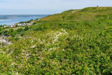 İngiltere 'deki Jurassic Sahili' nde