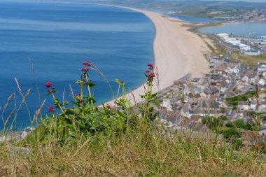 İngiltere 'deki Jurassic Sahili' nde