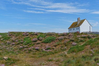 Jurassic Sahilindeki Portland Adası