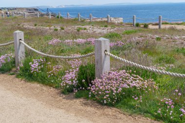 Jurassic Sahilindeki Portland Adası