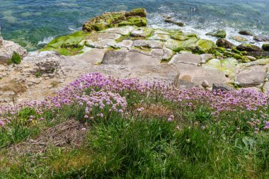 Jurassic Sahilindeki Portland Adası