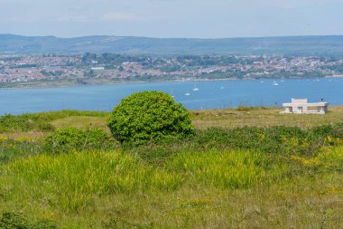 Jurassic Sahilindeki Portland Adası