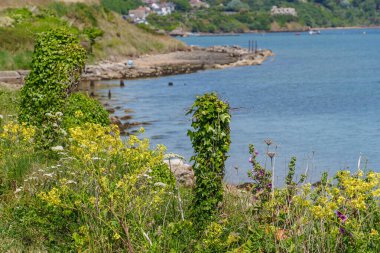 Jurassic Sahilindeki Portland Adası