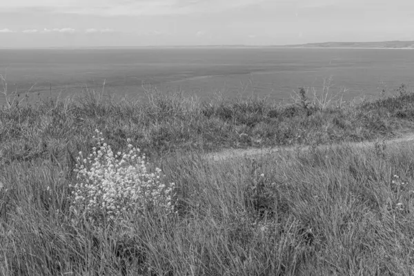 İngiltere 'deki Jurassic Sahili' nde