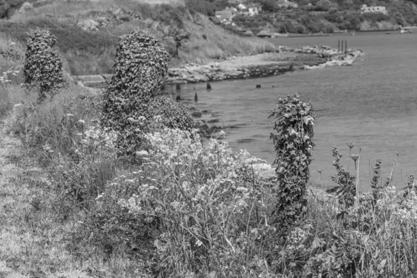 İngiltere 'deki Jurassic Sahili' nde