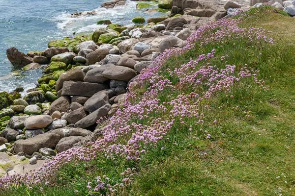 Jurassic Sahilindeki Portland Adası