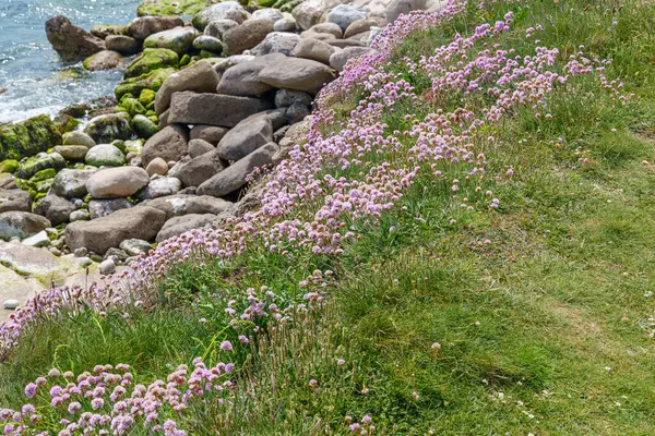 Jurassic Sahilindeki Portland Adası