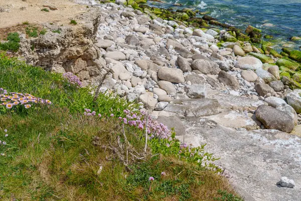 Jurassic Sahilindeki Portland Adası