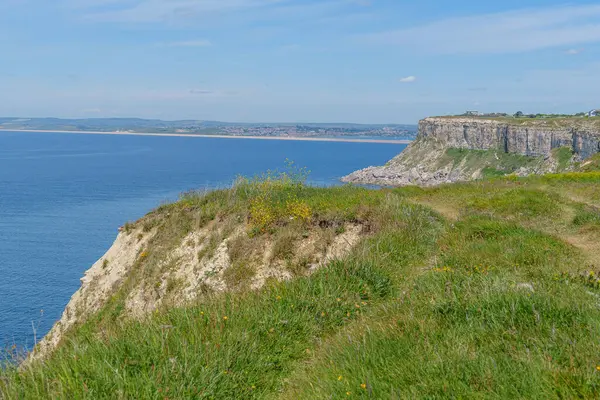 Jurassic Sahilindeki Portland Adası