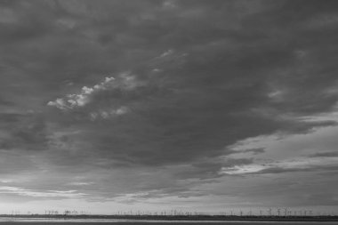 Hamburg Limanı ve Elbe Nehri