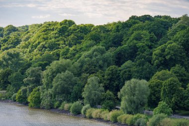Elbe Nehri 'ndeki Hamburg şehri.