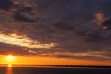 Hamburg ve Elbe Nehri