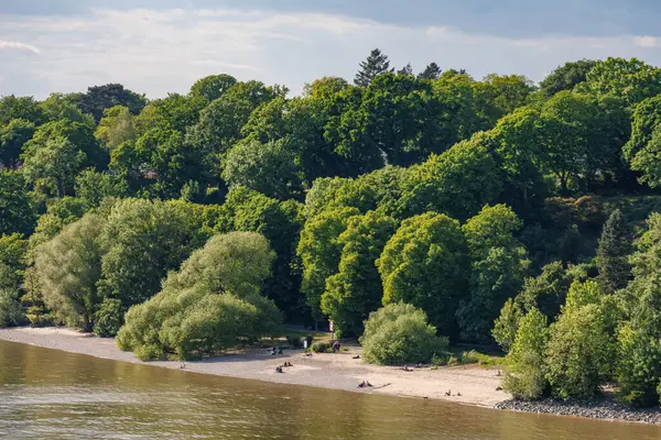 Elbe Nehri 'ndeki Hamburg şehri.