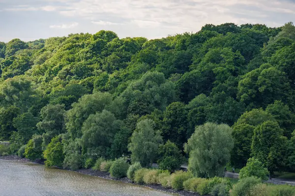 Elbe Nehri 'ndeki Hamburg şehri.