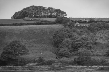 Falmouth İngiltere 'de.