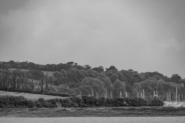 Falmouth İngiltere 'de.