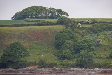 Falmouth İngiliz sahilinde 