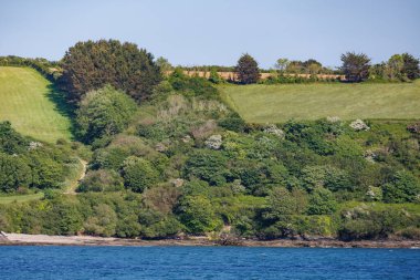 Falmouth İngiliz sahilinde 