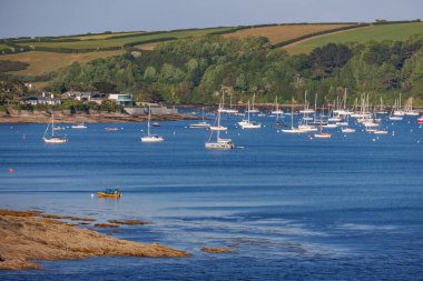 İngiliz sahillerinde gemi gezisi.