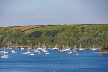 İngiliz sahillerinde gemi gezisi.