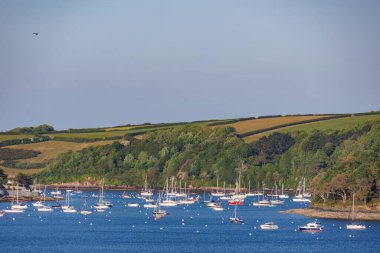 İngiliz sahillerinde gemi gezisi.