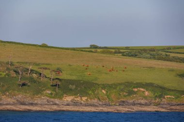 İngiliz sahillerinde gemi gezisi.