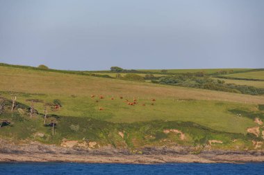 İngiliz sahillerinde gemi gezisi.