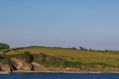 İngiliz sahillerinde gemi gezisi.
