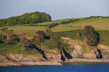 İngiliz sahillerinde gemi gezisi.