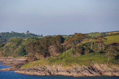 İngiliz sahillerinde gemi gezisi.