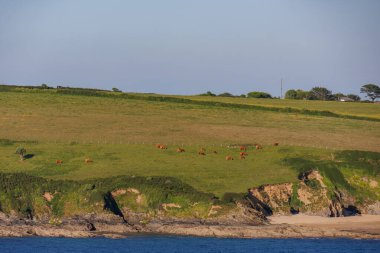 İngiliz sahillerinde gemi gezisi.