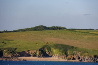 İngiliz sahillerinde gemi gezisi.