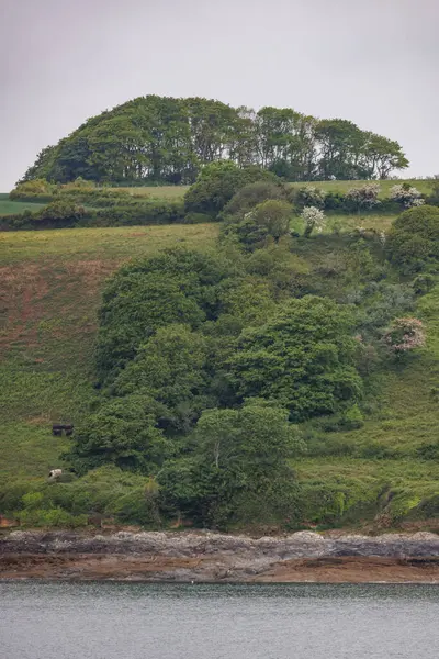 Falmouth İngiliz sahilinde 