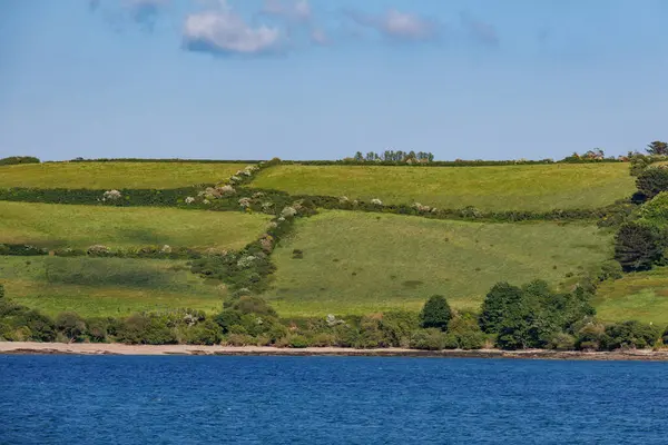 Falmouth İngiliz sahilinde 