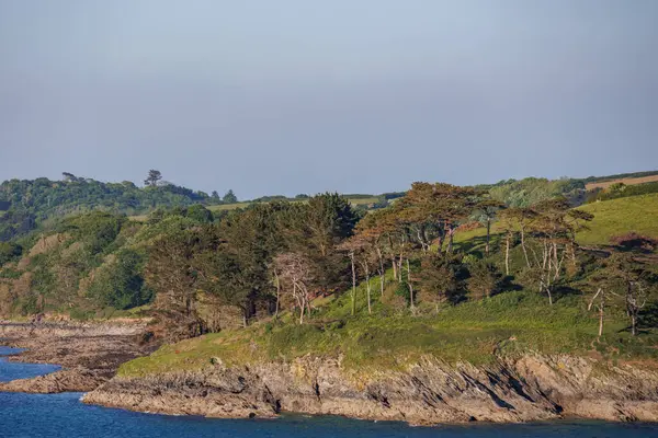 İngiliz sahillerinde gemi gezisi.