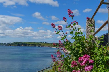 Cornwall 'daki Falmouth şehri.