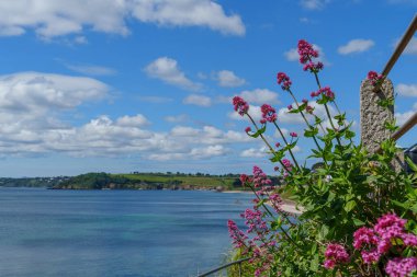 Cornwall 'daki Falmouth şehri.