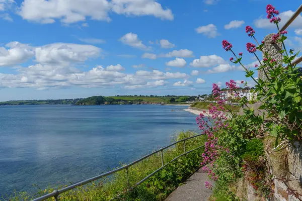 Cornwall 'daki Falmouth şehri.