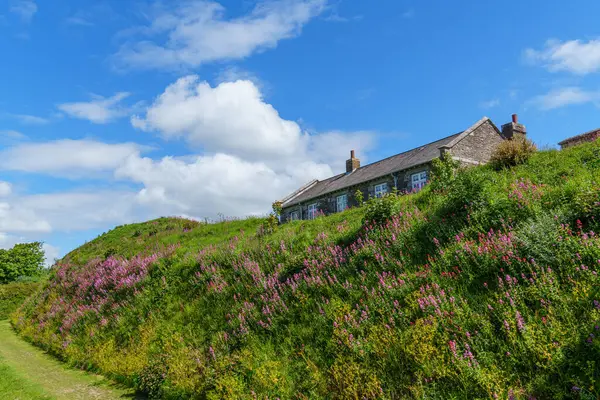 Cornwall 'daki Falmouth şehri.