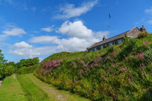 Cornwall 'daki Falmouth şehri.