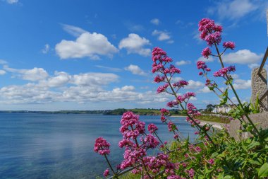 Cornwall 'daki Falmouth şehri.