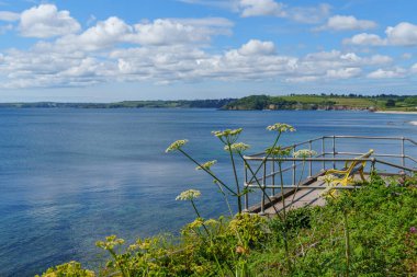 Cornwall 'daki Falmouth şehri.