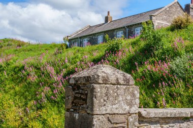 Cornwall 'daki Falmouth şehri.