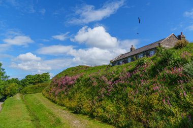 Cornwall 'daki Falmouth şehri.