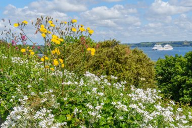Cornwall 'daki Falmouth şehri.