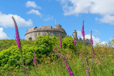 Cornwall 'daki Falmouth şehri.