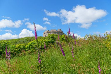 Cornwall 'daki Falmouth şehri.