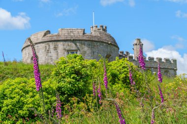 Cornwall 'daki Falmouth şehri.