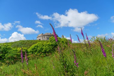 Cornwall 'daki Falmouth şehri.