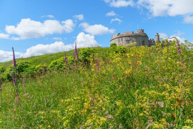 Cornwall 'daki Falmouth şehri.